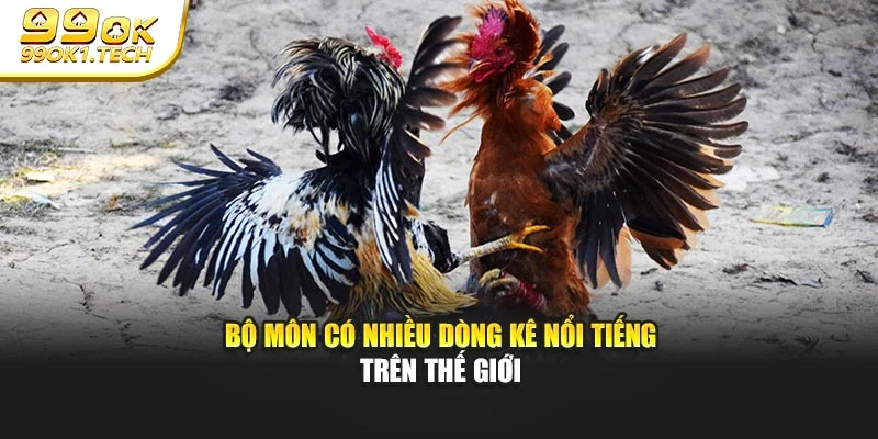 Bộ môn có nhiều dòng kê nổi tiếng trên thế giới