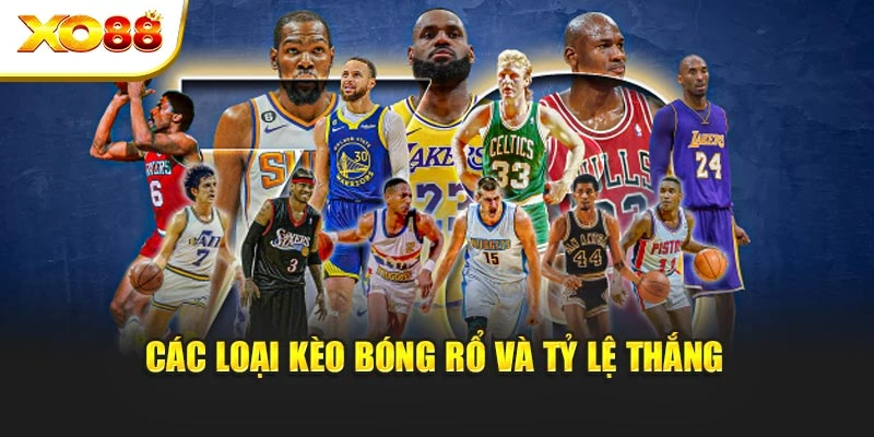 Các loại kèo bóng rổ và tỷ lệ thắng