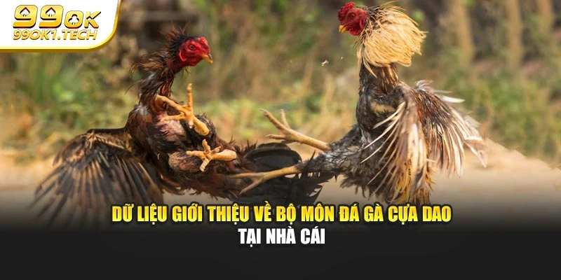 Dữ liệu giới thiệu về bộ môn đá gà cựa dao tại nhà cái