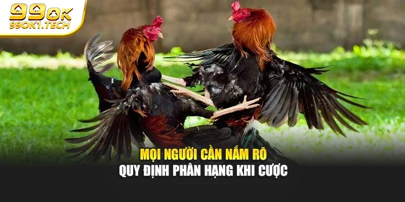 Mọi người cần nắm rõ quy định phân hạng khi cược
