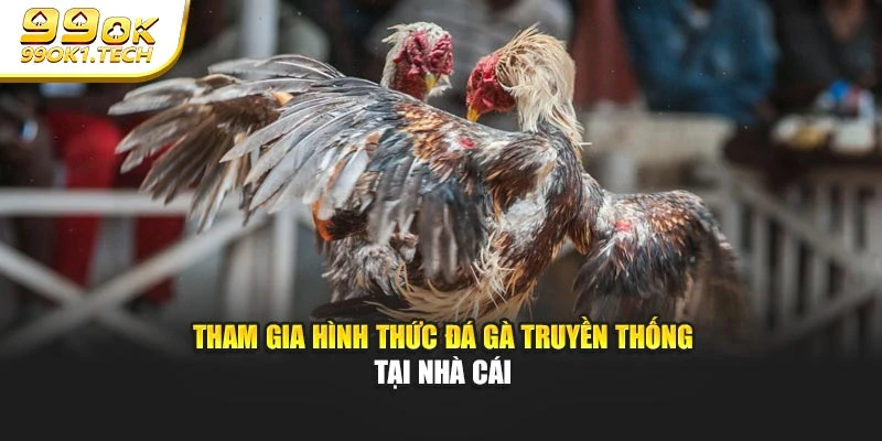 Tham gia hình thức đá gà truyền thống tại nhà cái