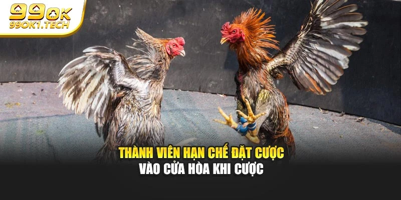 Thành viên hạn chế đặt cược vào cửa hòa khi cược