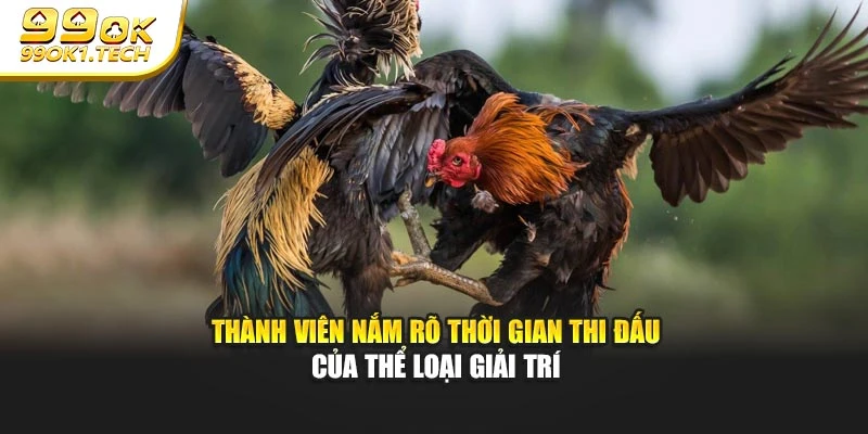 Thành viên nắm rõ thời gian thi đấu của thể loại giải trí