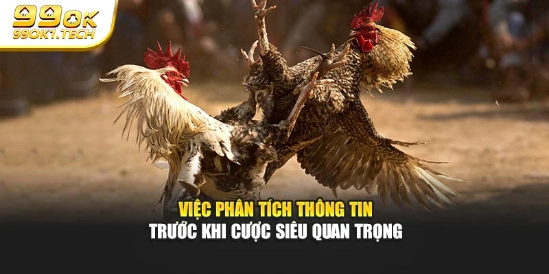 Việc phân tích thông tin trước khi cược siêu quan trọng